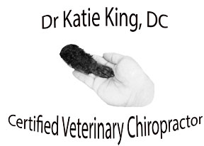 Dr. Katie S. King Certified Veterinary Chiropractor